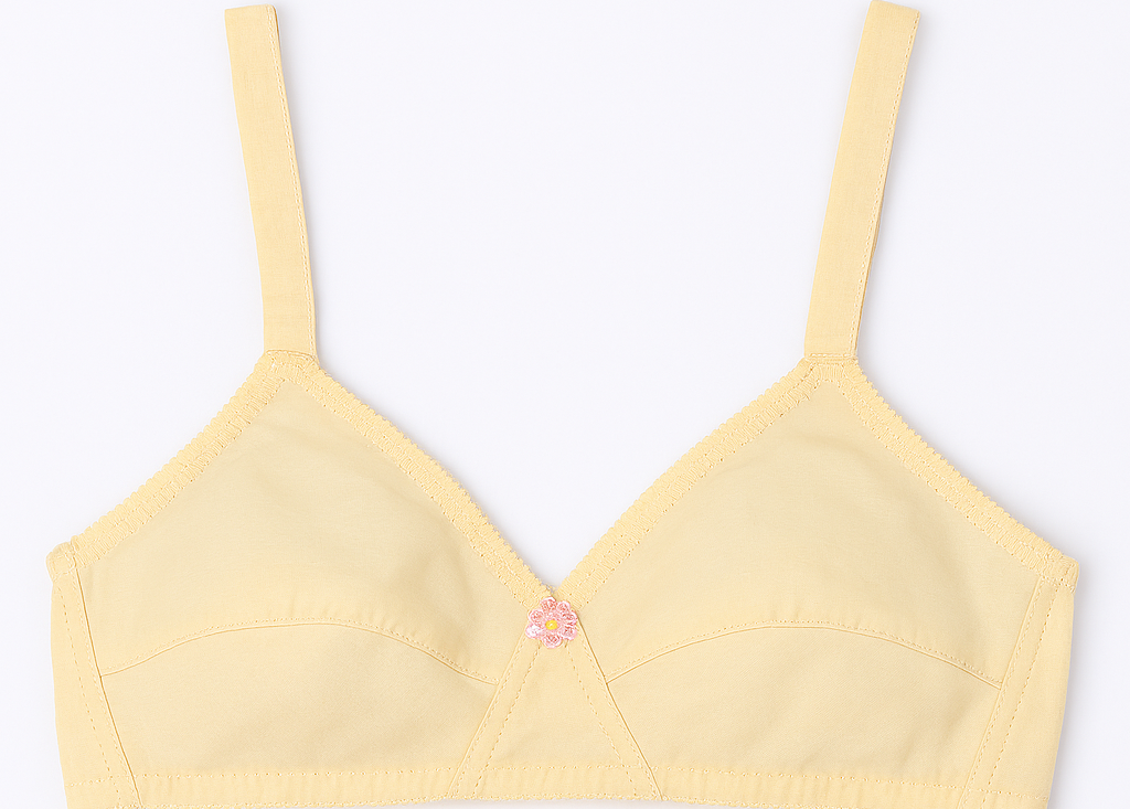 Pack of 3 Cotton Sada Bra  – Mehroon, Black & Skin Color